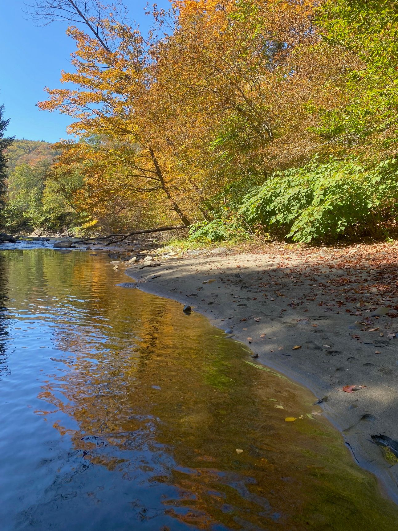 A sandy beach along a still river. The golden trees along the bank cast an orange reflection on the water. 