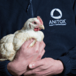Food Industry Exec. Anitox Photo