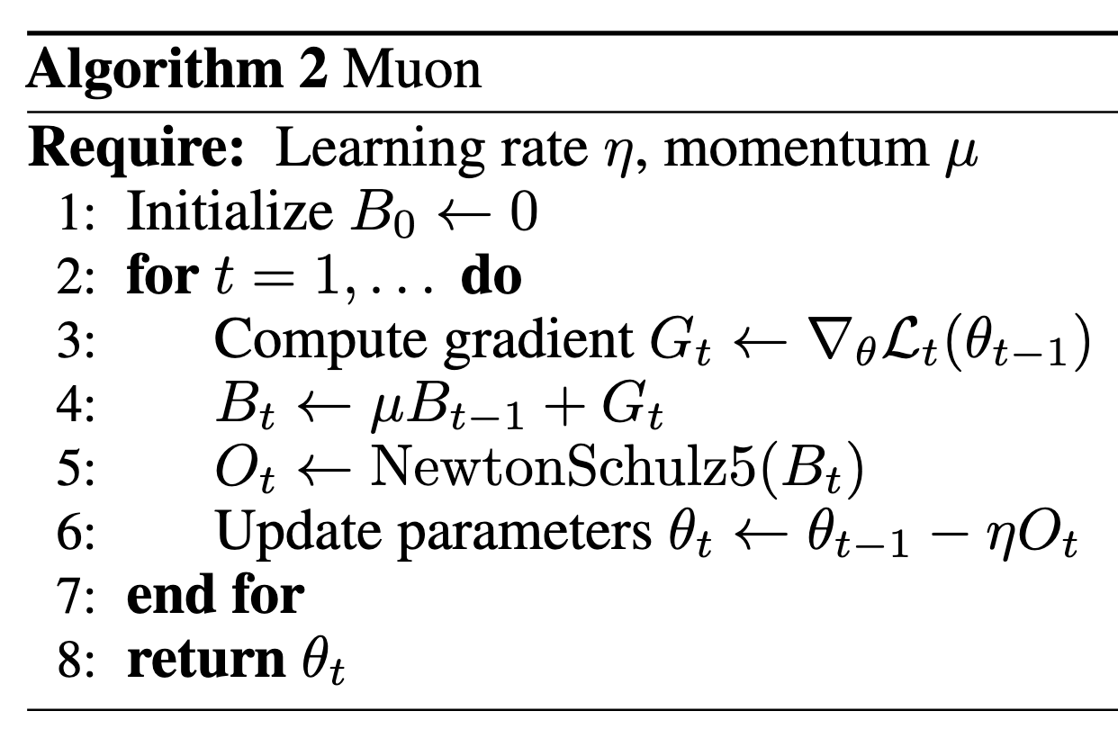 muon