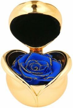 Preserved Flower Rose