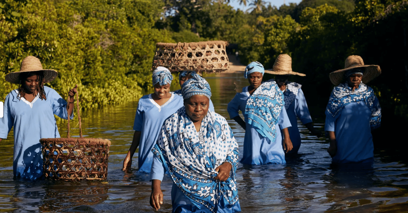  A photograph of women earning income by processing seaweed in Zanzibar's tidal flats.