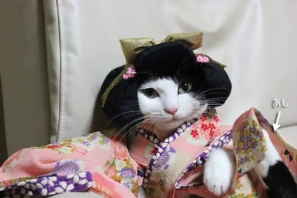 224