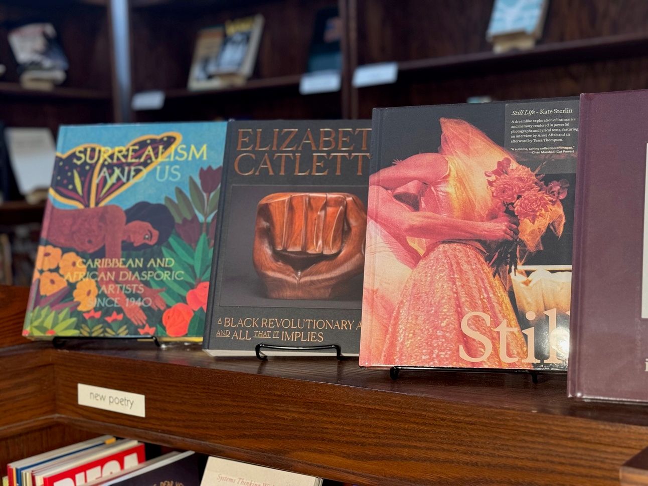 Display of art books described in caption.