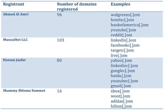 typosquatter-domains-example
