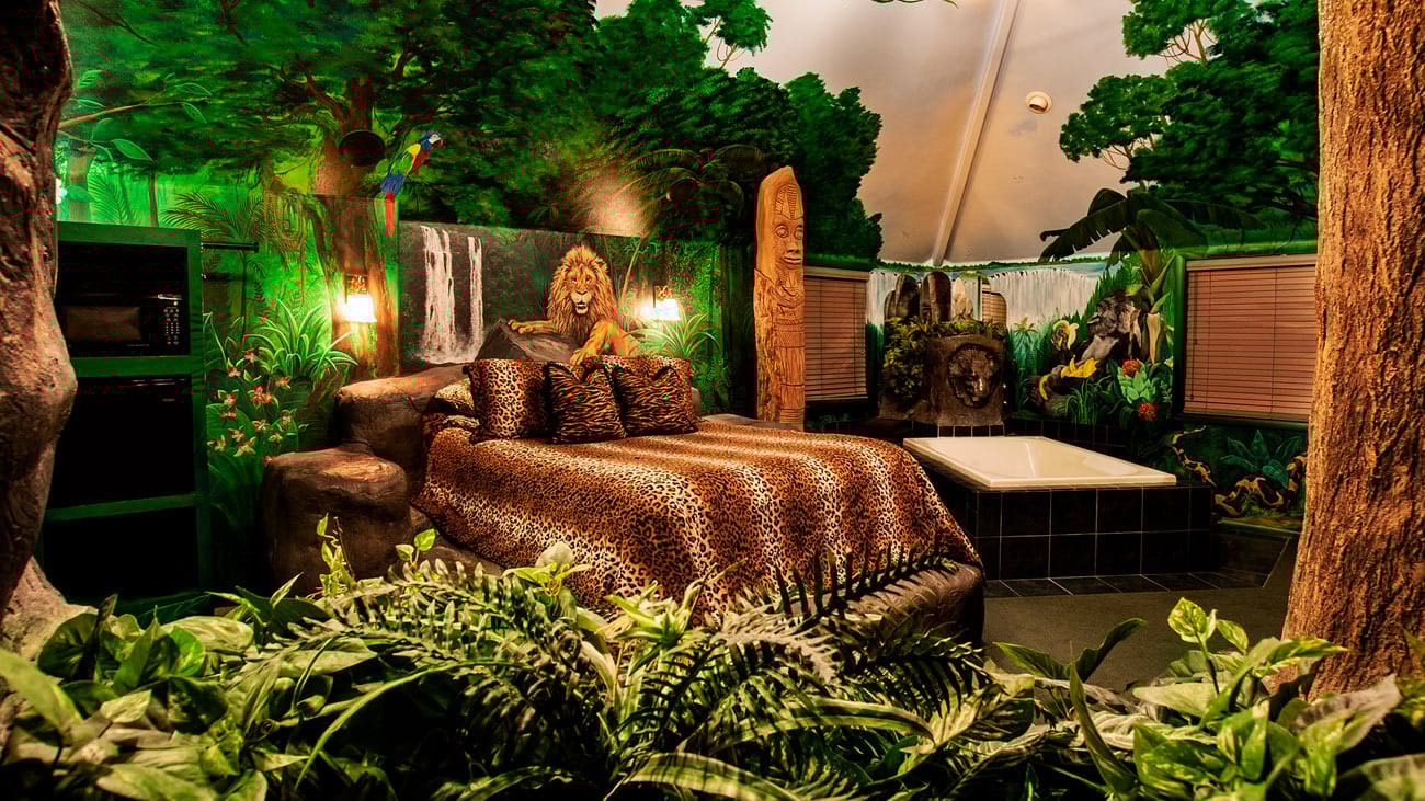 black swan inn bed and breakfast