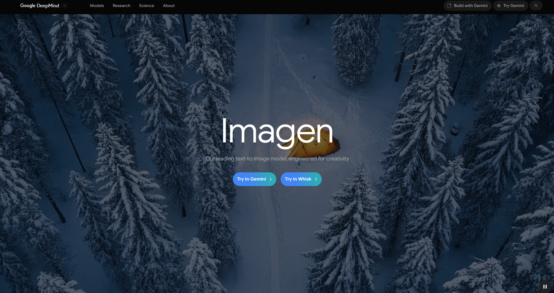 imagen-family