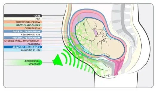 Babypod_diagram_showing_sound_from_outside_belly.img_assist_custom