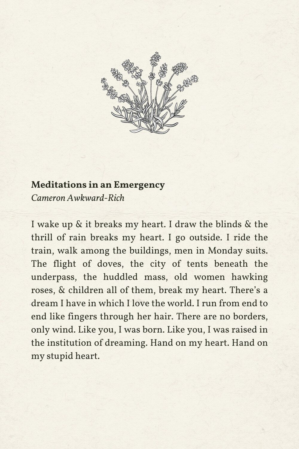 Meditations in an Emergency Cameron Awkward-Rich
