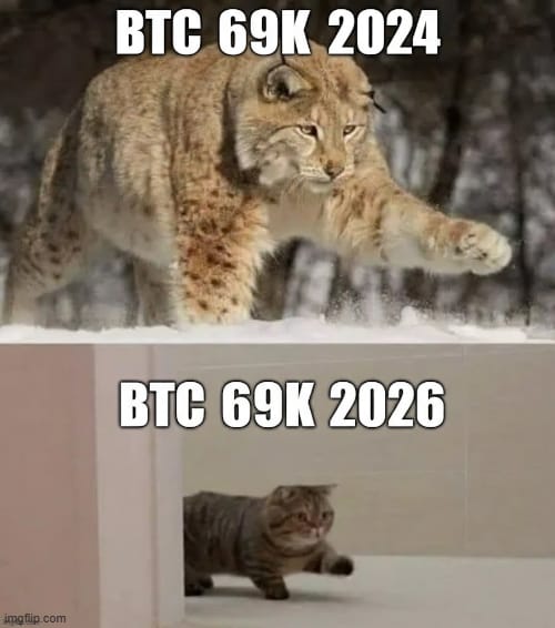 crypto-meme