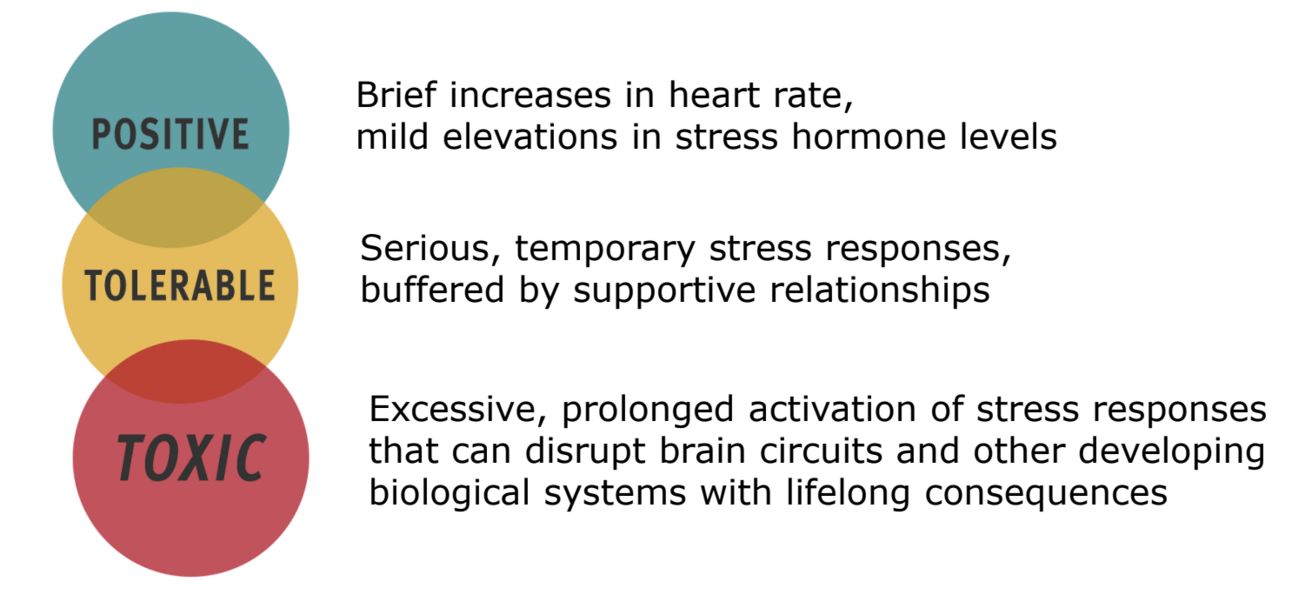 The diagram shows a traffic light image of three kinds of stress - red is toxic, orange is toelrable and green is positive stress