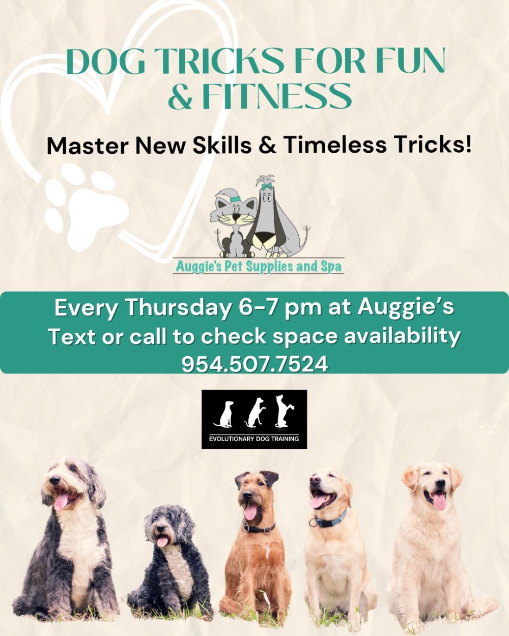 Dog Training