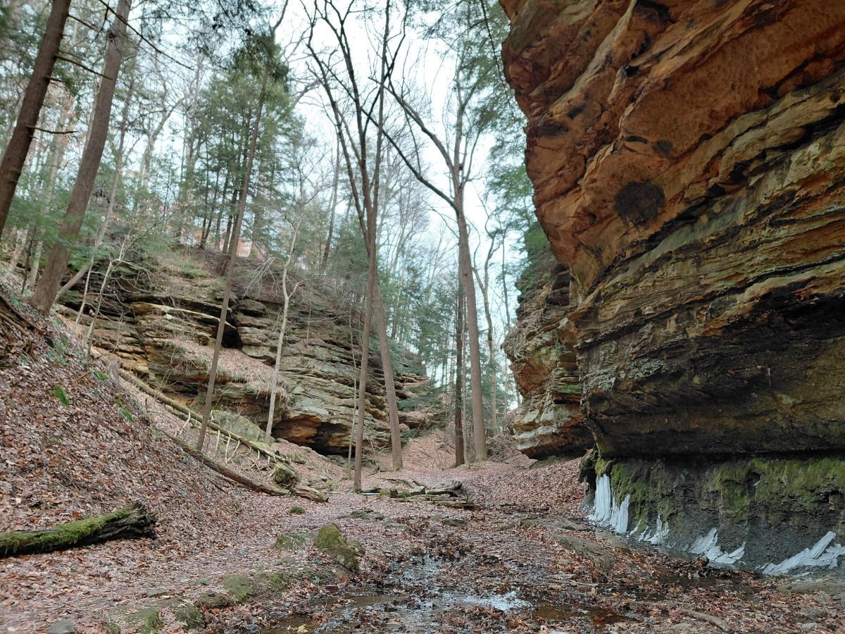 Creek bed between cliffs. Photo by EEK.