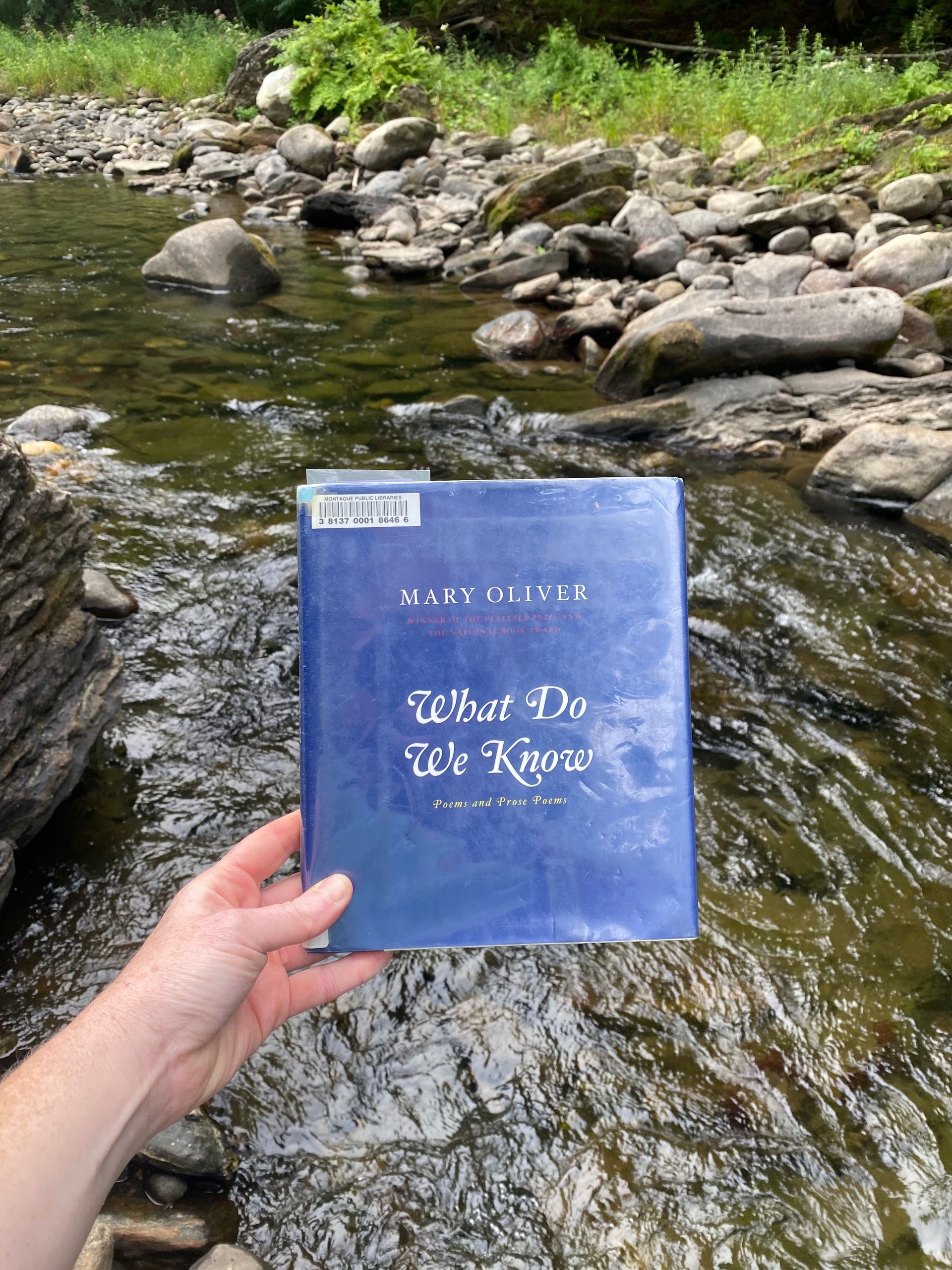 I’m holding up What Do We Know in front of a lightly rippling river with lots of stones on its banks.