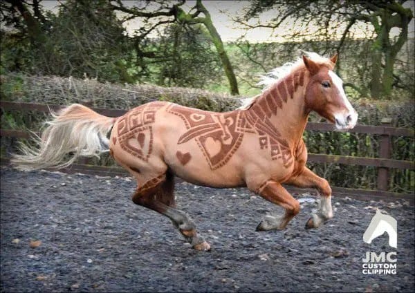 JMC-Equestrian-clipping-600x424