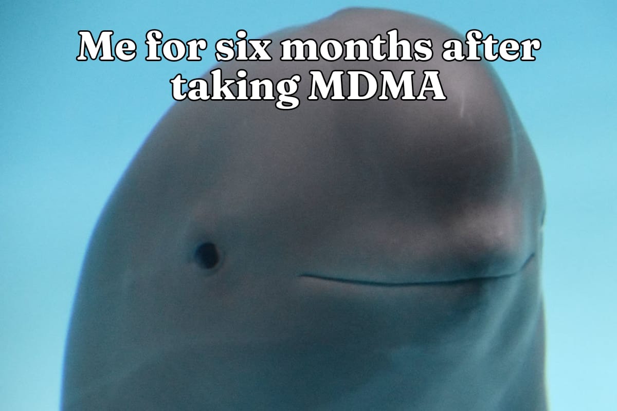 Me for six months after taking MDMA