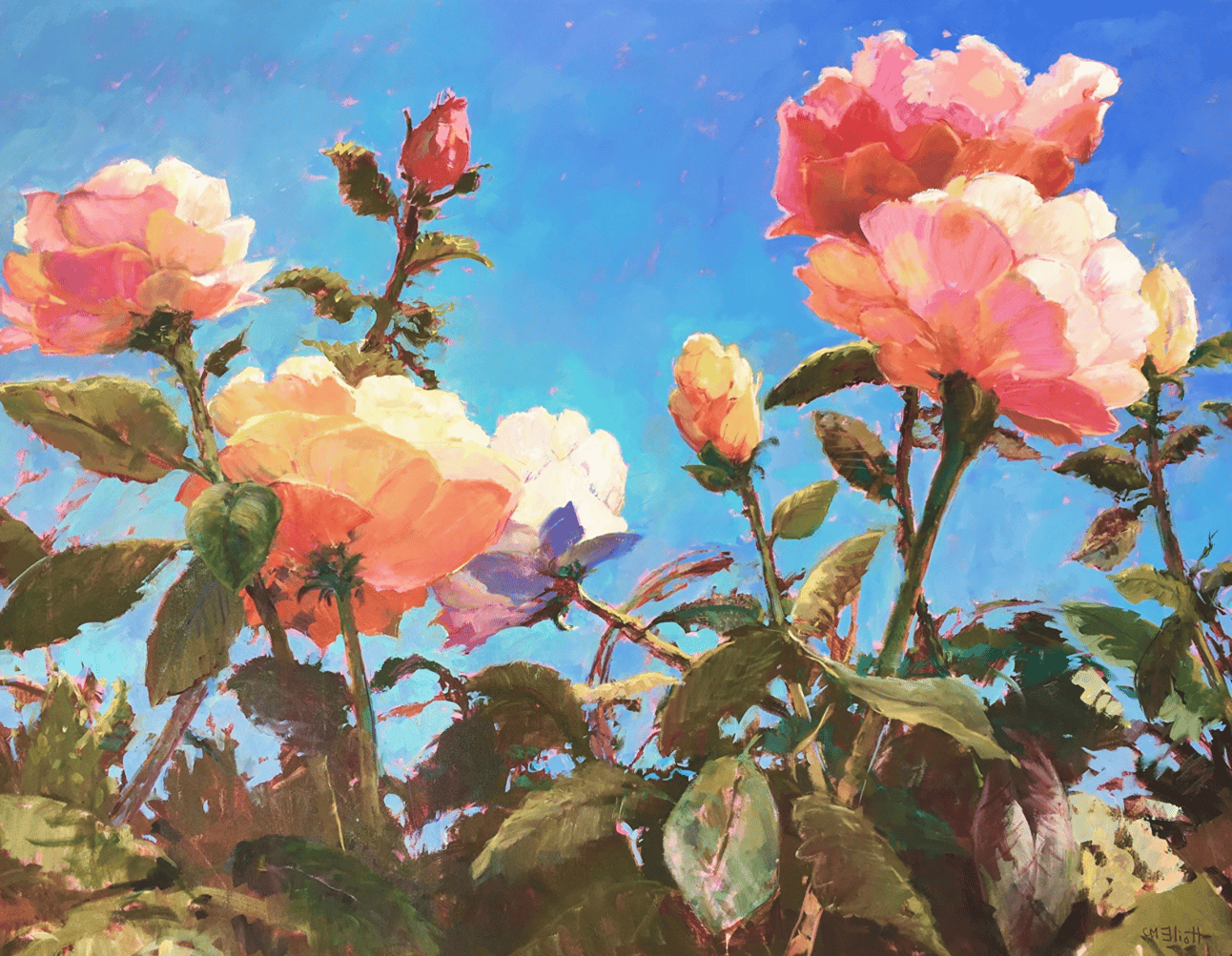 Catherine Elliott painter artist