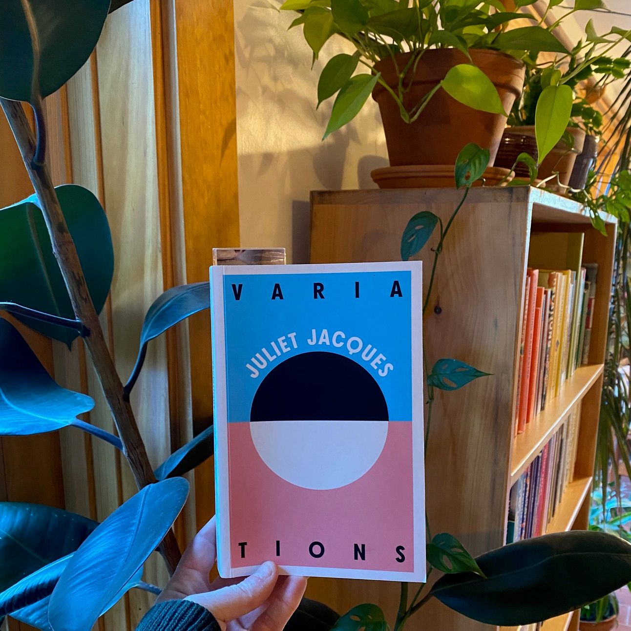I’m holding up Variations in front of a sunny bookcase full of houseplants.