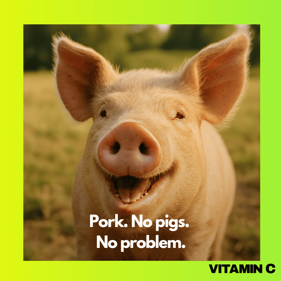 A happy pig smiling in a field, symbolizing cultivated pork technology that produces meat without animals - taken from Vitamin C newsletter, written by Lia Carlucci
