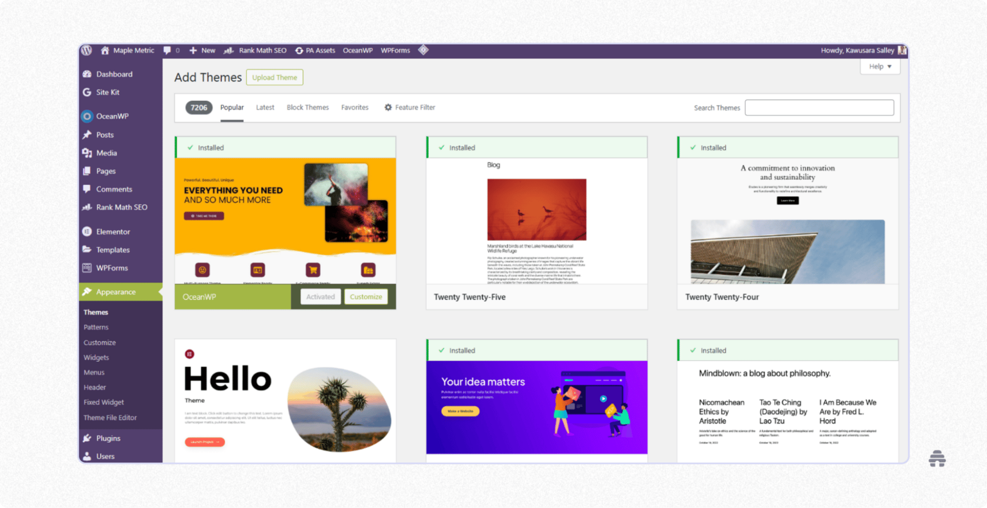 WordPress admin dashboard showing the “Add Themes” screen, with multiple installed themes like OceanWP and Twenty Twenty-Five displayed for selection and customization. The interface highlights how creators browse, activate, and manage website themes to design their sites.