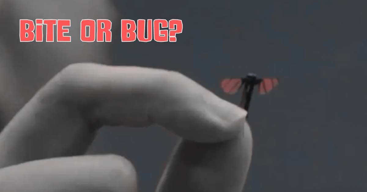 "Close-up of fingers holding a tiny mosquito-sized surveillance drone, demonstrating the miniature scale of modern spy technology, with red text reading 'BITE OR BUG?
