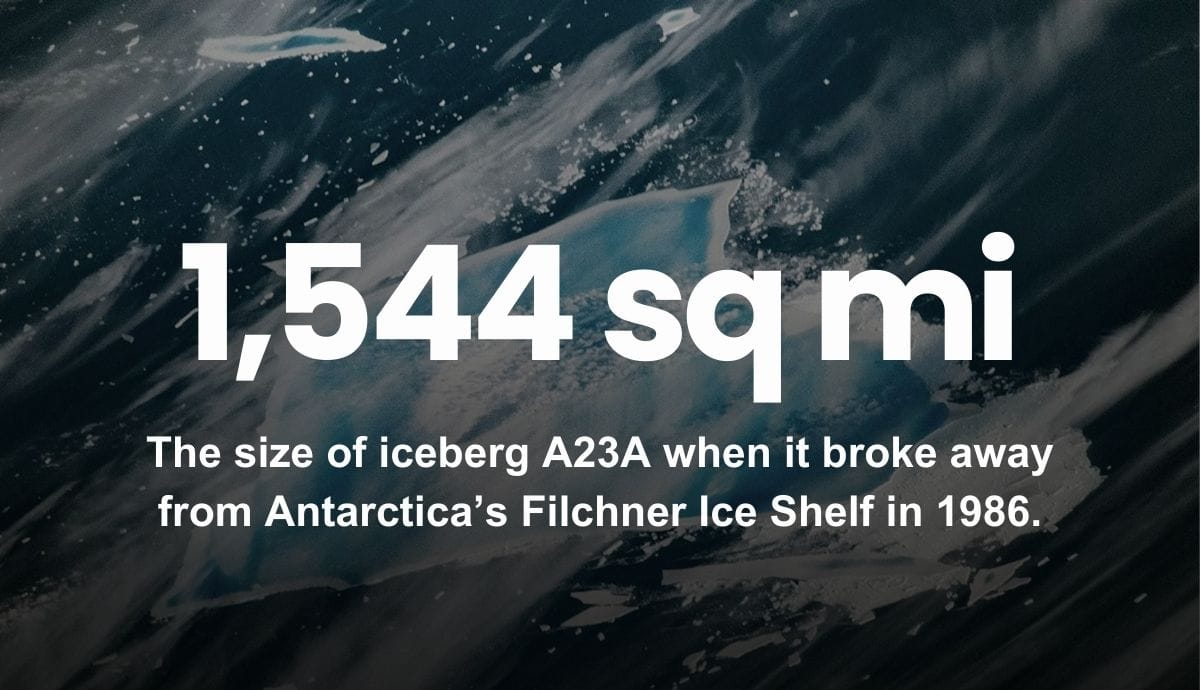 1,544 sq mi - The size of iceberg A23A when it broke away from Antarctica’s Filchner Ice Shelf in 1986.