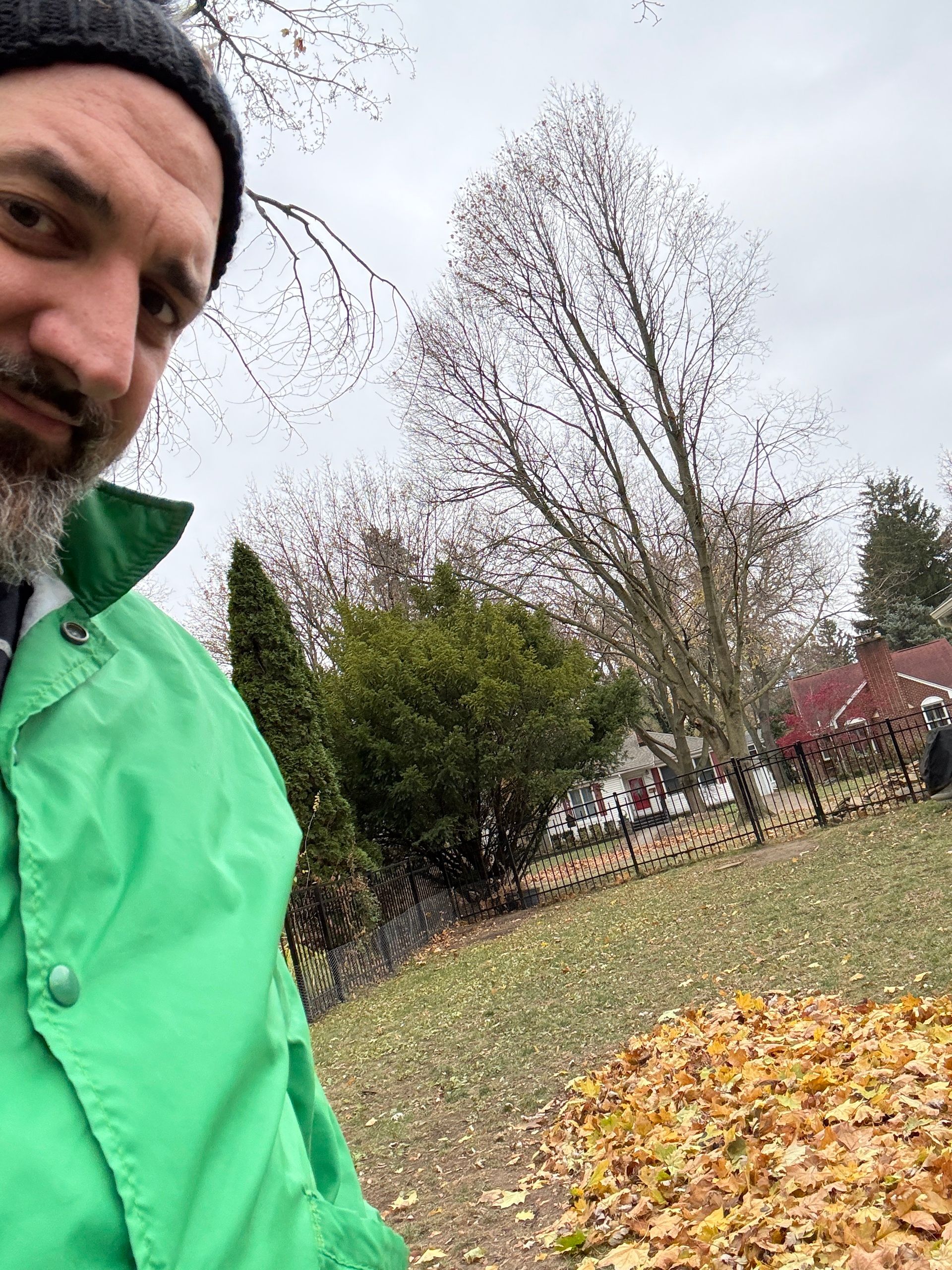 Raking Leaves: A Reflection on Masculinity, Control, and Healing