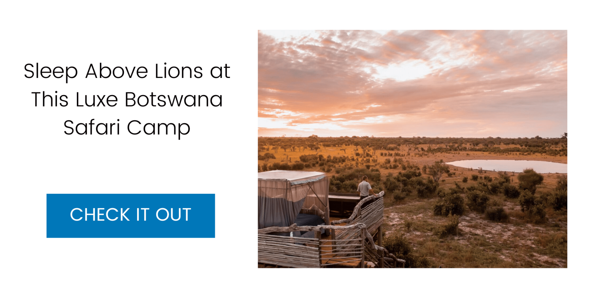 Sleep Above Lions at This Luxe Botswana Safari Camp