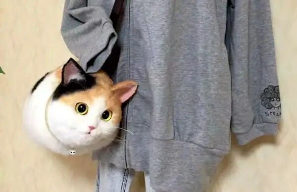 600x388xPico-cat-handbags6-600x388_jpg_pagespeed_ic_VRJcg6GcFf