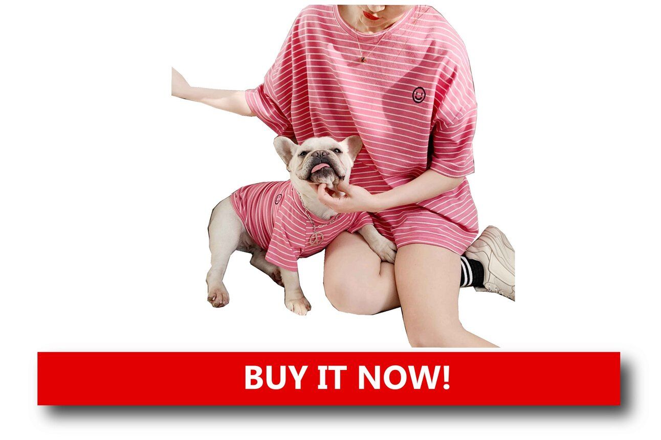 Matching Pajamas for Pets and Owners Alt text: A pet and owner lounging together in front of a Christmas tree, both wearing matching red holiday pajamas with playful prints like candy canes and snowflakes.