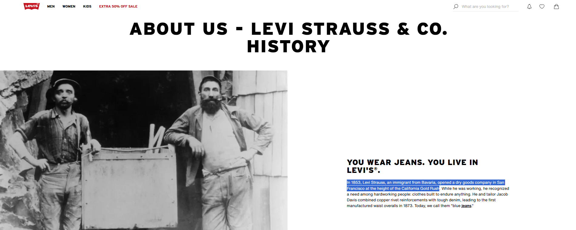 what-does-sell-picks-and-shovels-mean-in-the-ai-boom