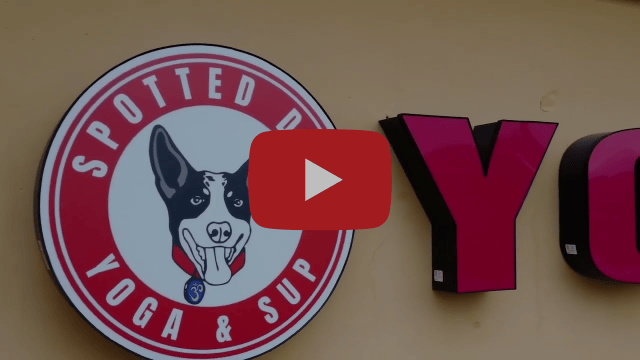 Welcome To Spotted Dog Yoga & SUP