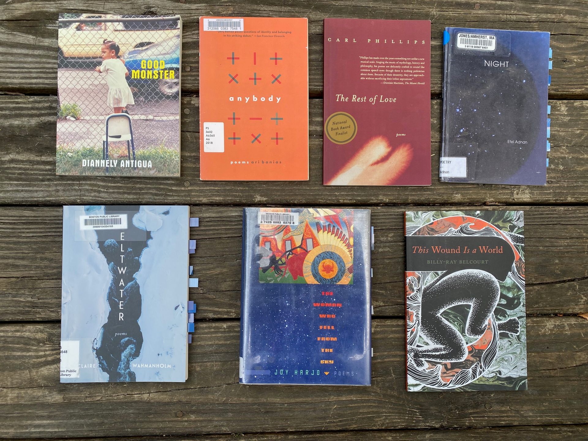 The seven poetry books mentioned in this newsletter lying flat on a porch.