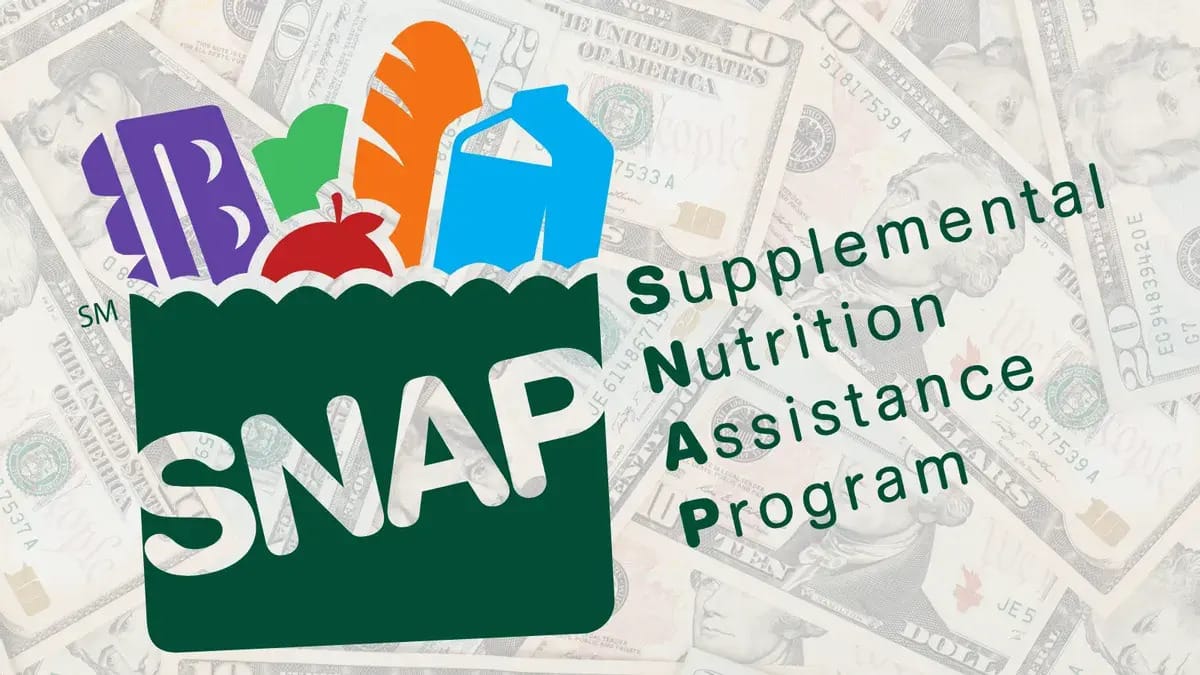 An image shows a graphic that says SNAP on a green grocery bag holding bread, apple, milk, eggs and other groceries. Green text to the right says Supplemental Nutrition Assistance Program. The first letters of each word are bloded. In the background, you can see $10 bills faintly.