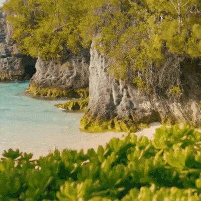 woman traveler diving into the ocean