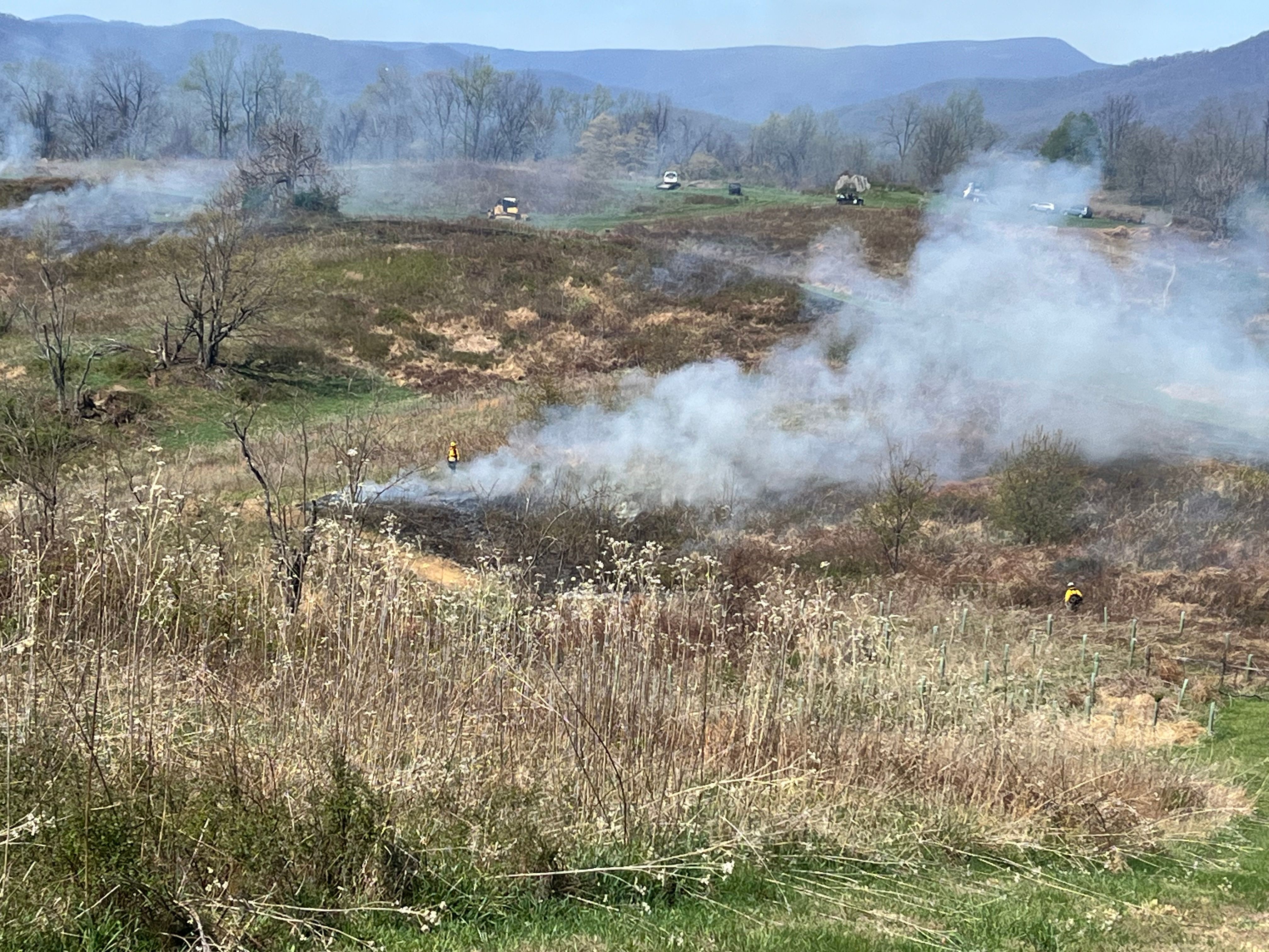 a landscape of rolling fields with smoke columns rising and blowing to the right from different parts of the field