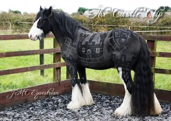 JMC-Equestrian-clipping4-600x424