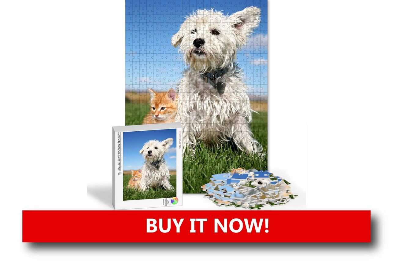 Pet Photo Puzzle Alt text: A jigsaw puzzle in progress on a wooden table, featuring a smiling golden retriever’s photo as the completed image, with cozy holiday elements in the background.