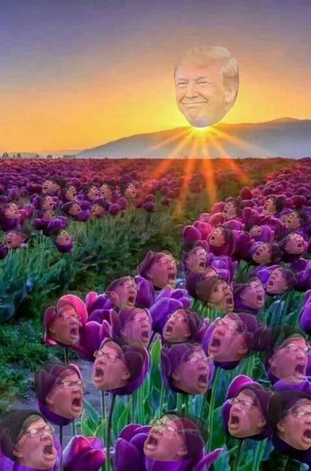 trump talks