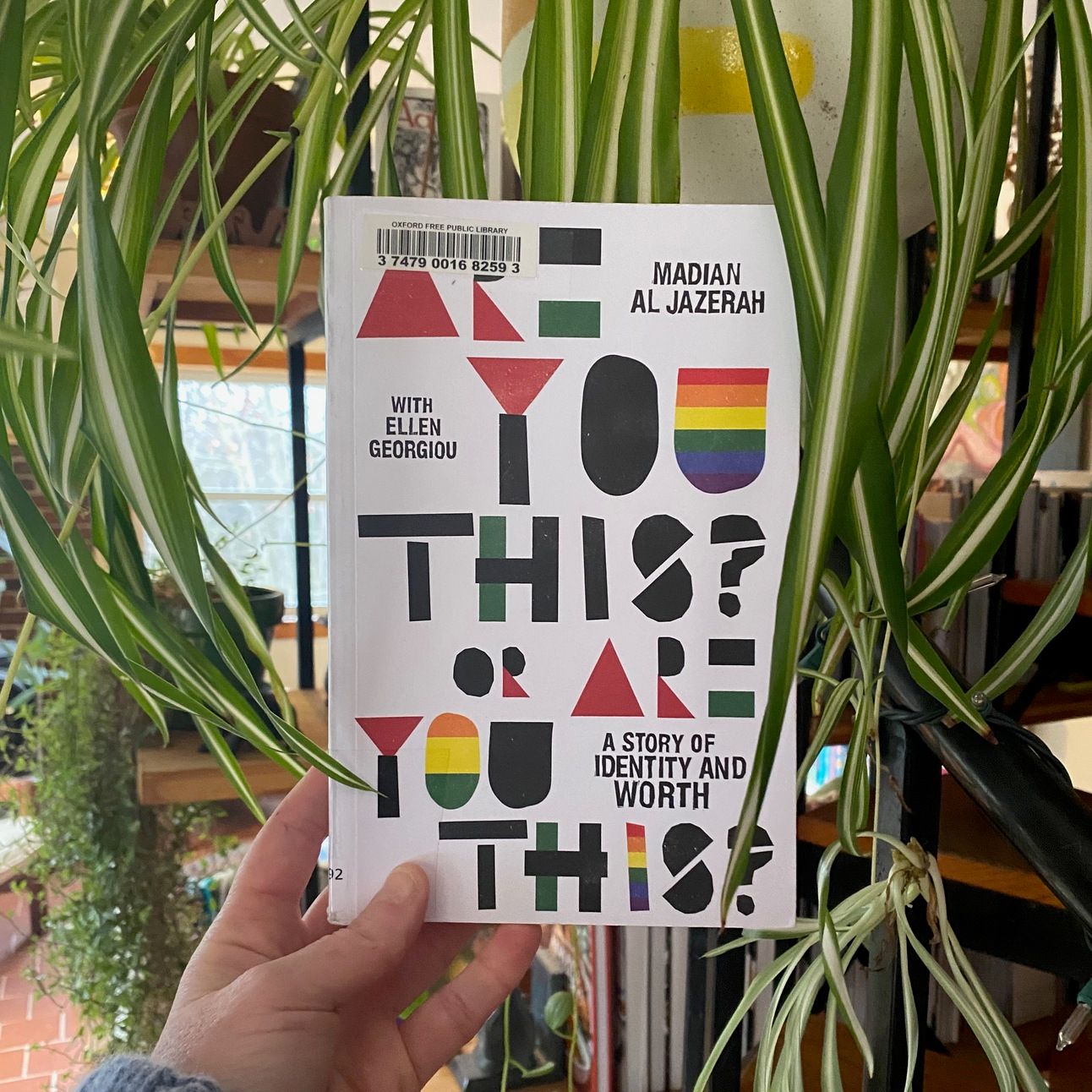 I’m holding up this book in front of a spider plant.