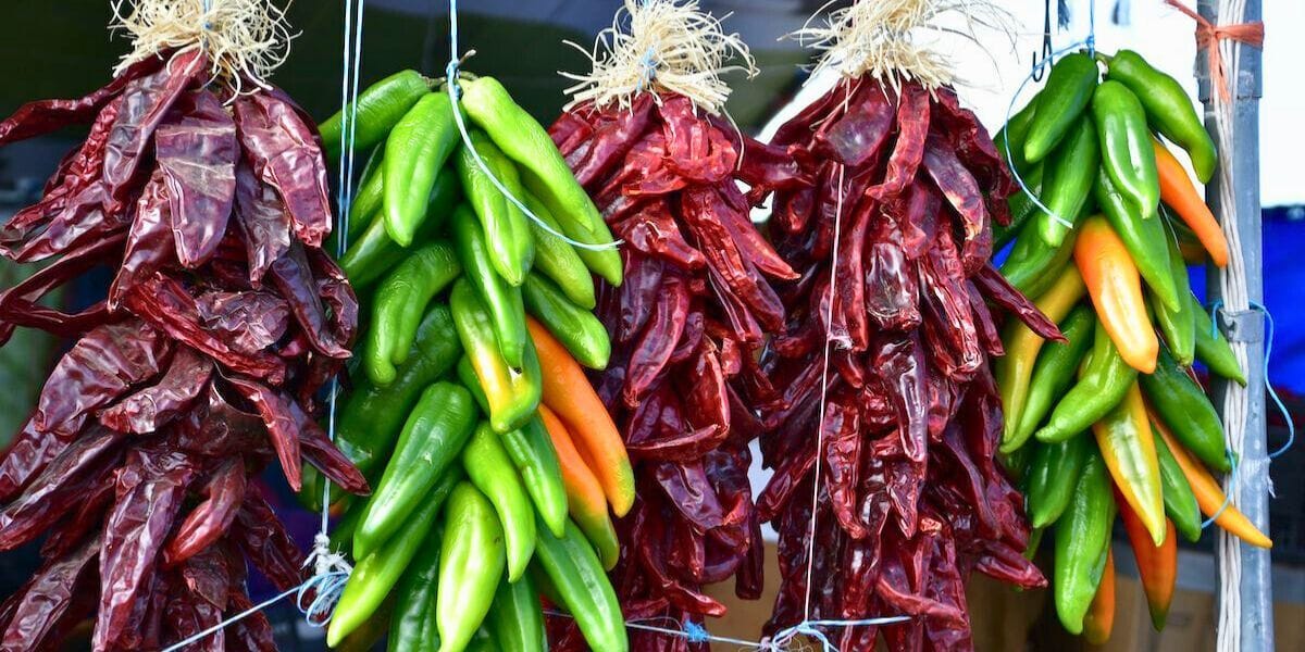 hatch chiles drying