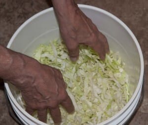 making sauerkraut