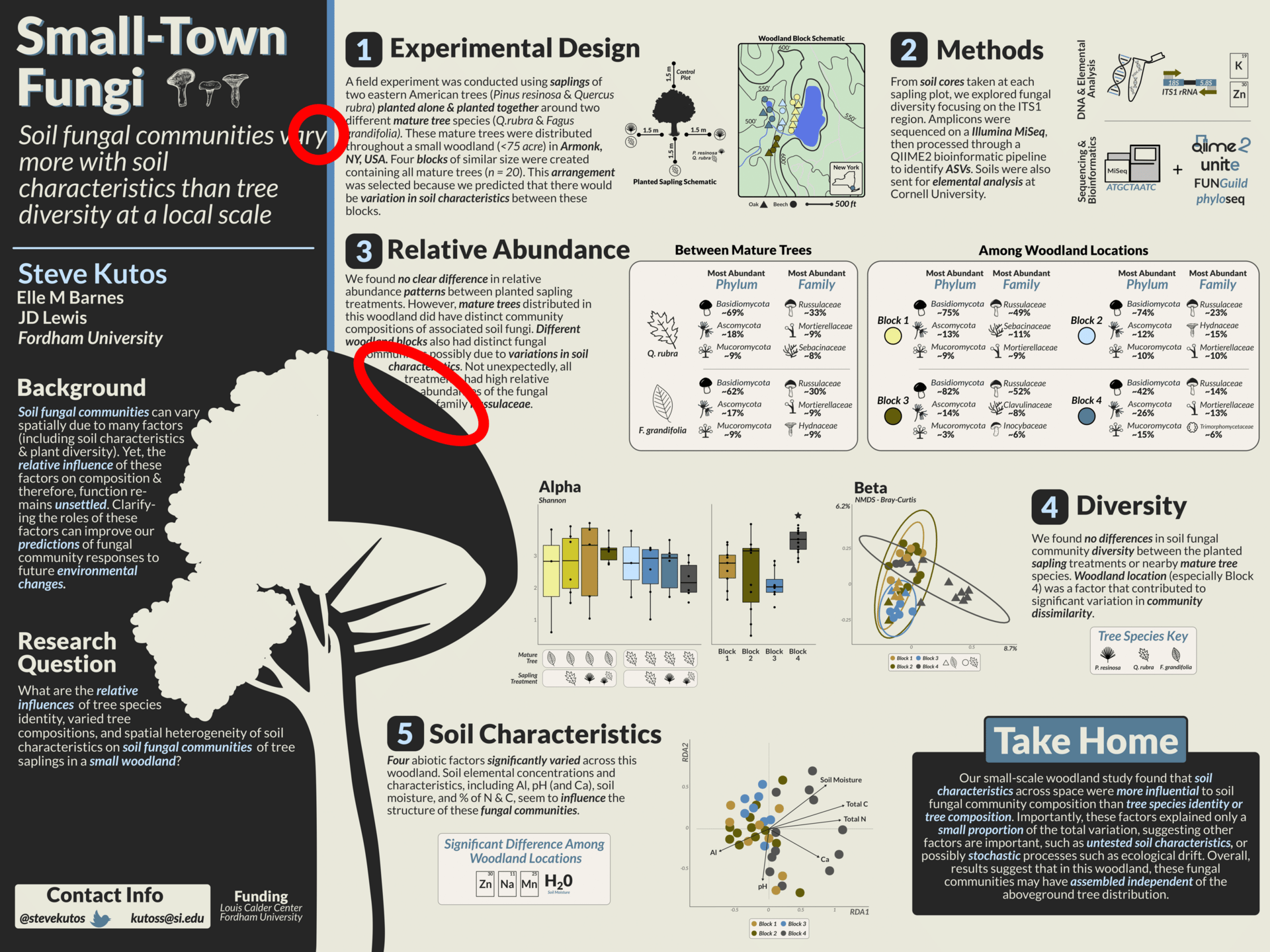 Poster titled "Small town fungi" with two red ovals showing where ext touches other graohcs in the poster.