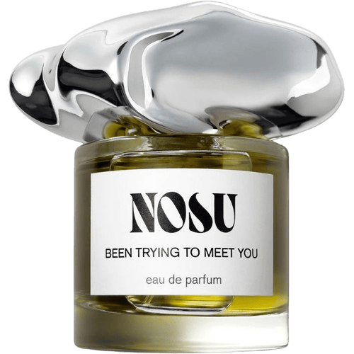 Nosu - Been trying to meet you