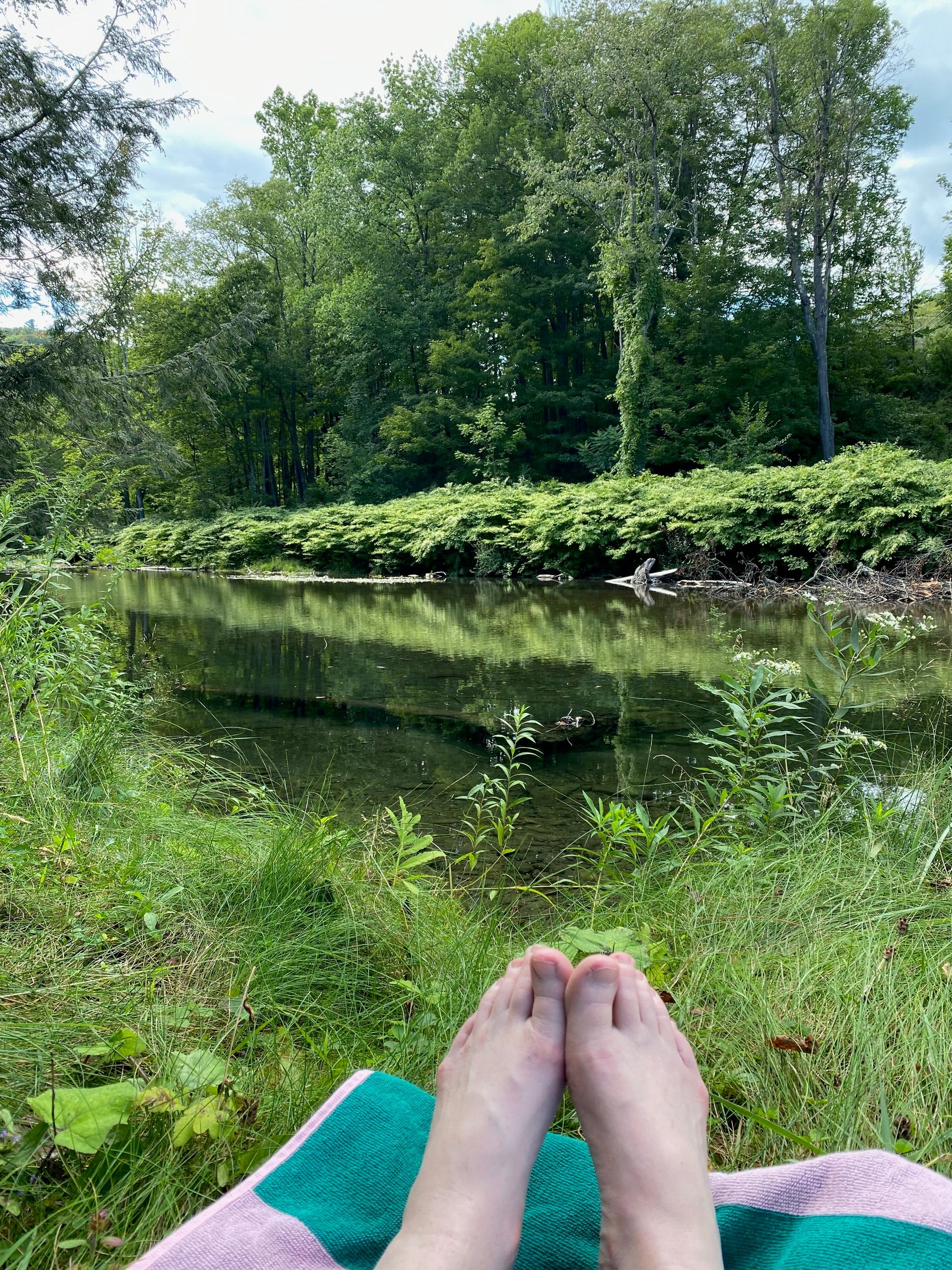 My feet on a towel on the grassy bank of the Green River, with a view of trees on the far bank.