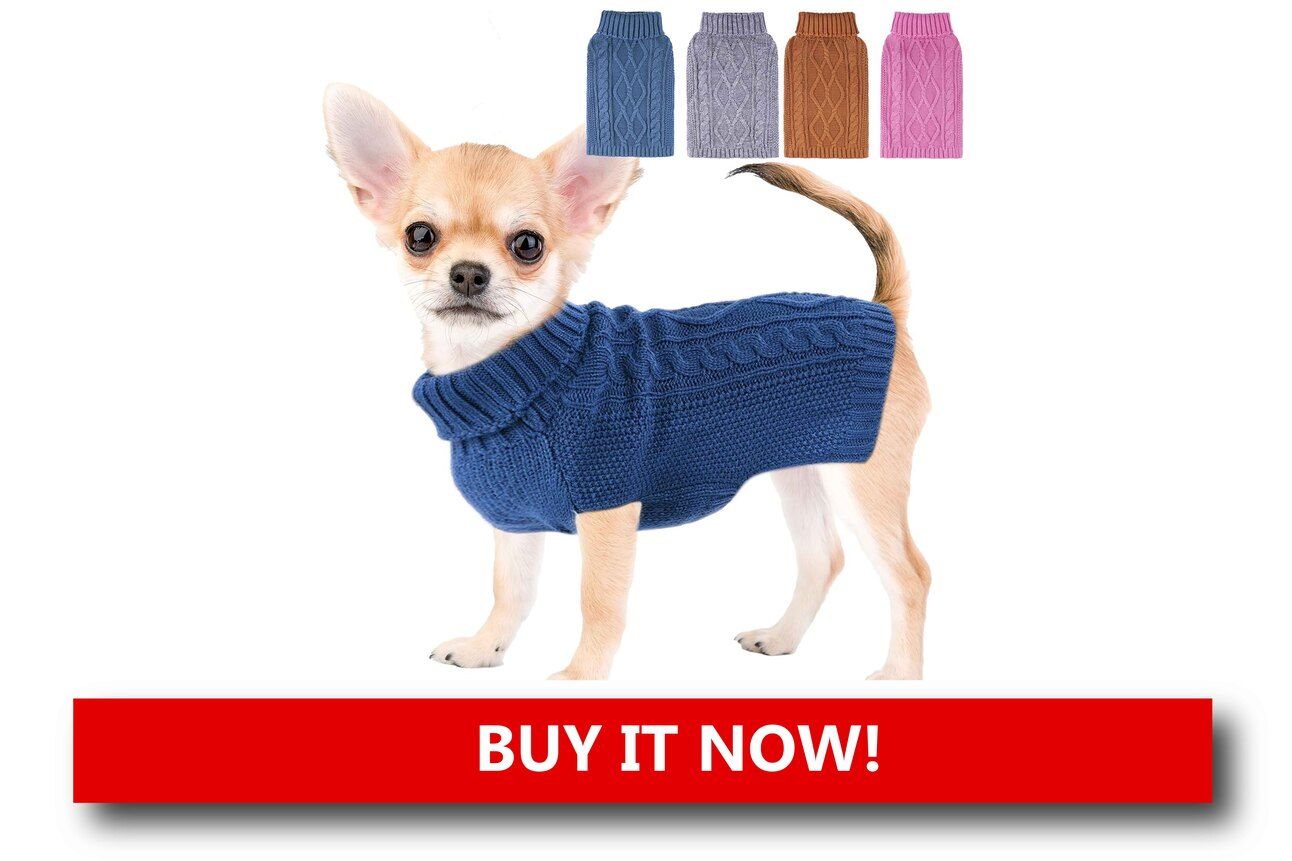 Knit Sweaters for Walks in the Snow Alt text: A pup wearing a red knit sweater with a reindeer design, walking through snow-covered ground with paw prints trailing behind.