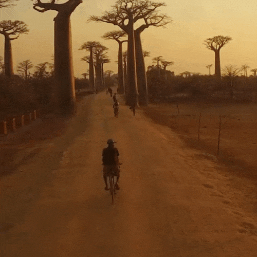unique landscapes gif