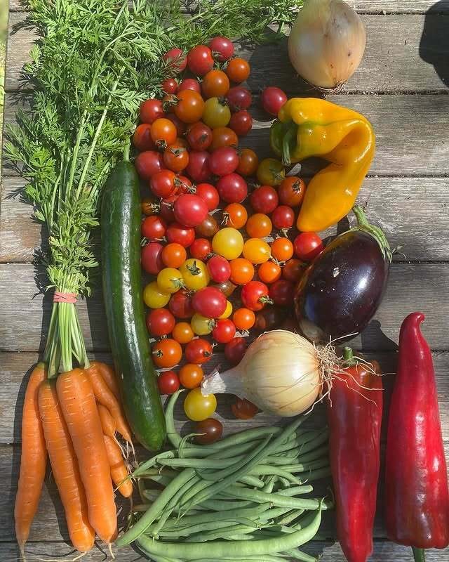 littlest.acre.organics on Instagram