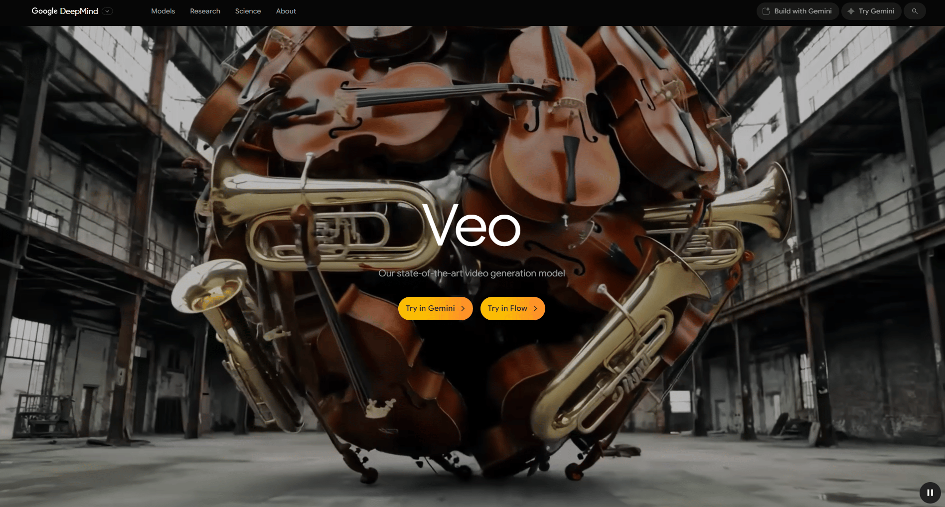 veo-family