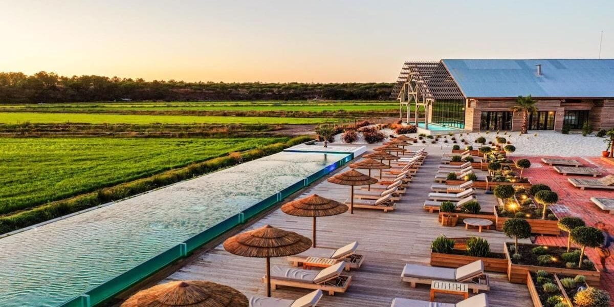 Serene resort in Alentejo surrounded by olive trees, with a pool overlooking rolling countryside.