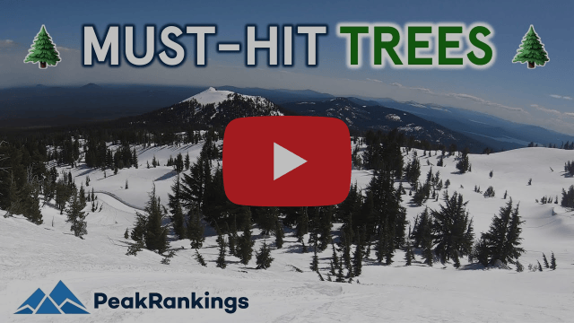 Most UNREAL Resorts for Tree Skiing